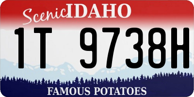 ID license plate 1T9738H
