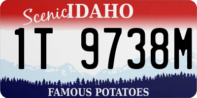 ID license plate 1T9738M