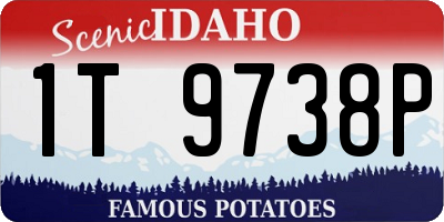 ID license plate 1T9738P