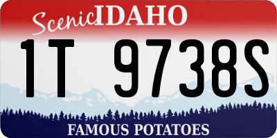 ID license plate 1T9738S