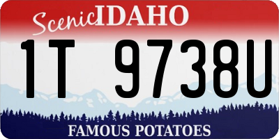 ID license plate 1T9738U