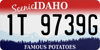 ID license plate 1T9739G