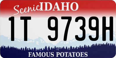 ID license plate 1T9739H