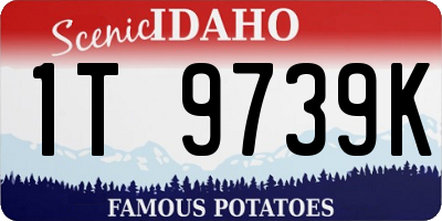 ID license plate 1T9739K