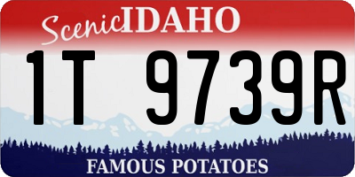 ID license plate 1T9739R