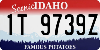 ID license plate 1T9739Z