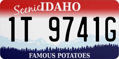 ID license plate 1T9741G