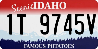 ID license plate 1T9745V