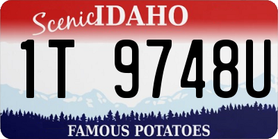 ID license plate 1T9748U