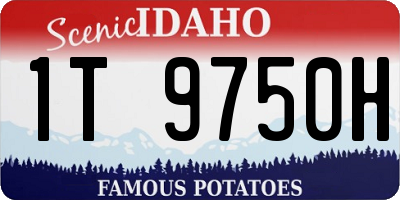 ID license plate 1T9750H