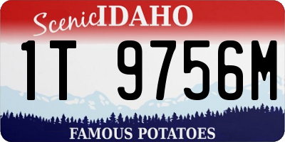 ID license plate 1T9756M