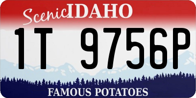 ID license plate 1T9756P