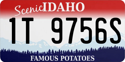 ID license plate 1T9756S