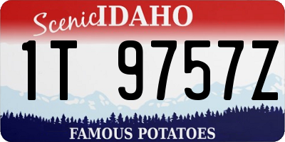 ID license plate 1T9757Z