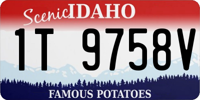 ID license plate 1T9758V