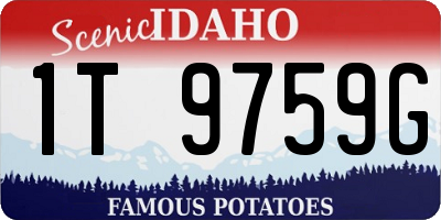 ID license plate 1T9759G