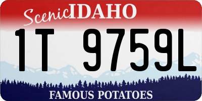 ID license plate 1T9759L