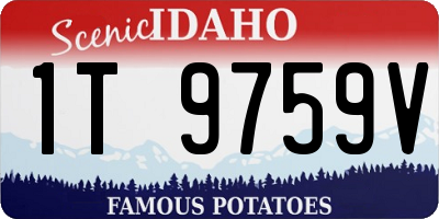 ID license plate 1T9759V