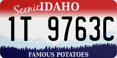 ID license plate 1T9763C