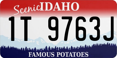 ID license plate 1T9763J