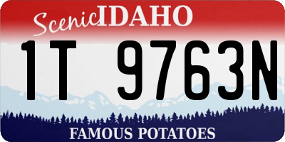 ID license plate 1T9763N
