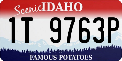 ID license plate 1T9763P