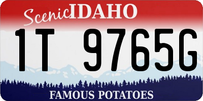 ID license plate 1T9765G