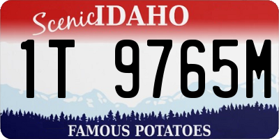 ID license plate 1T9765M