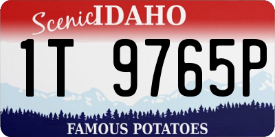 ID license plate 1T9765P