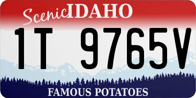 ID license plate 1T9765V