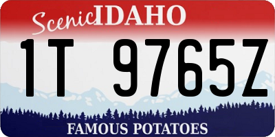 ID license plate 1T9765Z