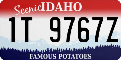 ID license plate 1T9767Z