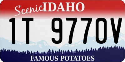 ID license plate 1T9770V