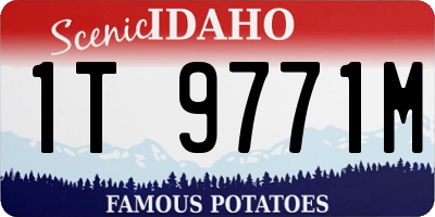 ID license plate 1T9771M