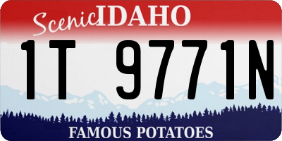 ID license plate 1T9771N