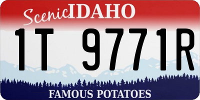 ID license plate 1T9771R