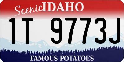 ID license plate 1T9773J