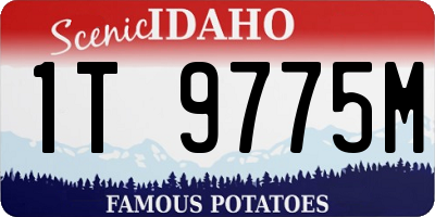 ID license plate 1T9775M
