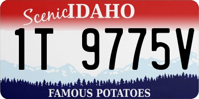 ID license plate 1T9775V