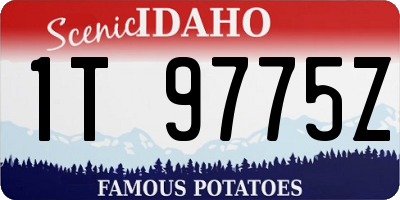 ID license plate 1T9775Z