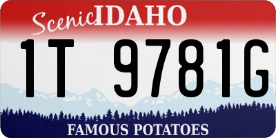 ID license plate 1T9781G