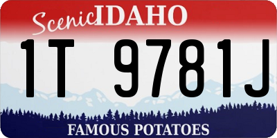 ID license plate 1T9781J