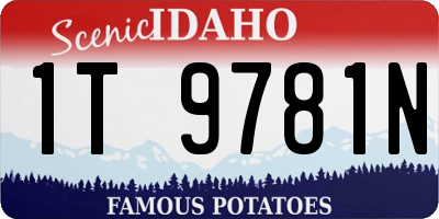 ID license plate 1T9781N