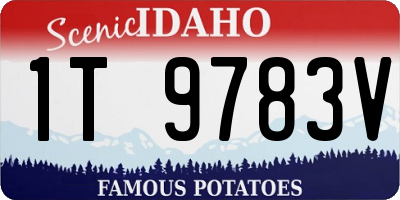 ID license plate 1T9783V