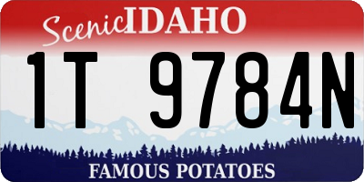 ID license plate 1T9784N