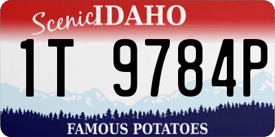 ID license plate 1T9784P