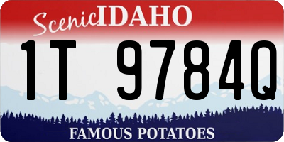 ID license plate 1T9784Q