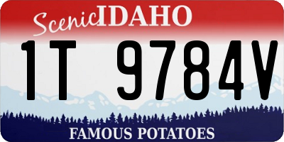ID license plate 1T9784V