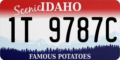 ID license plate 1T9787C