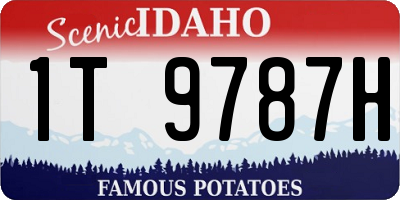 ID license plate 1T9787H